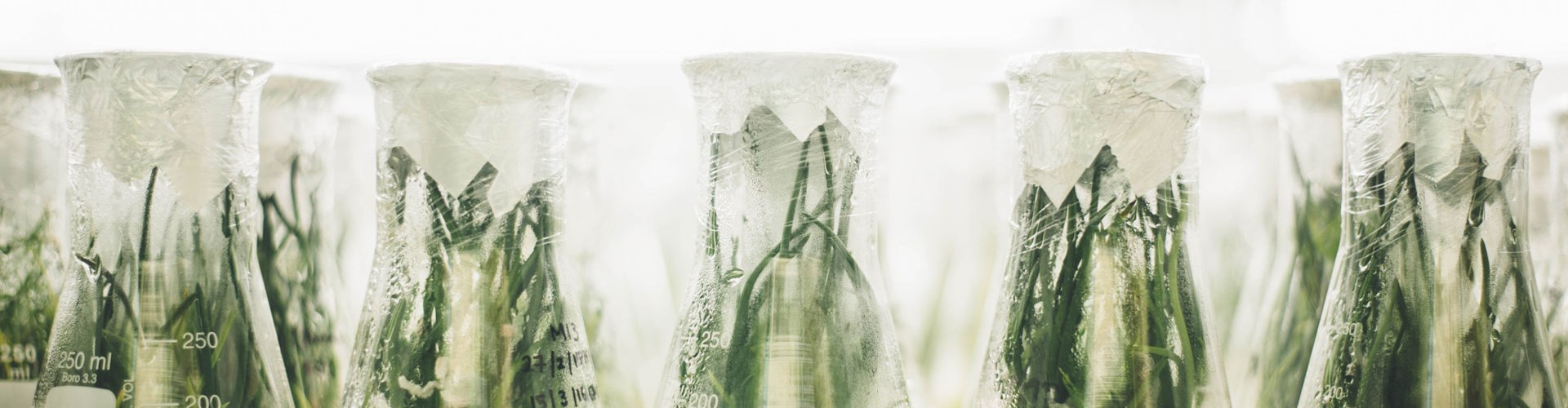 Aqualeha Analyse Audit Formation Conseil