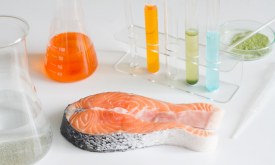 Test salmon fish in laboratory control of mercury and toxic dye