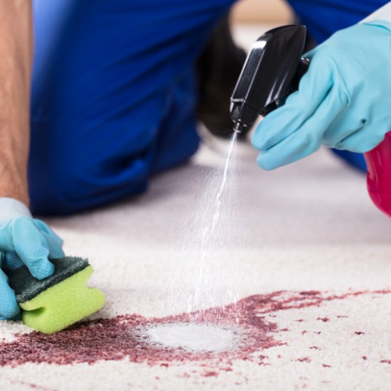Human Hand Cleaning Spilled Wine On Carpet With Detergent Spray Bottle