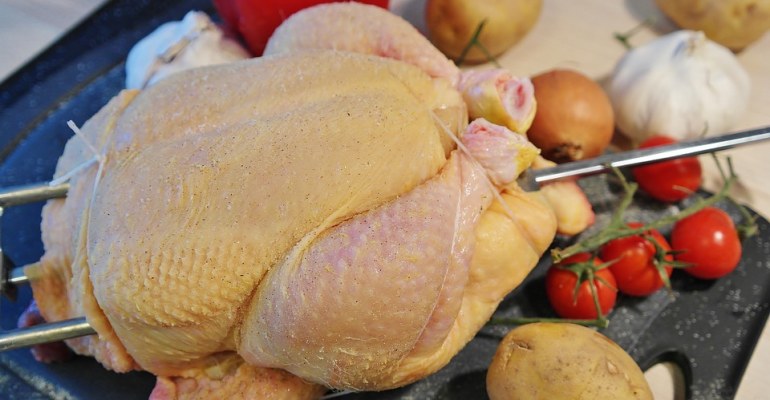 campylobacter