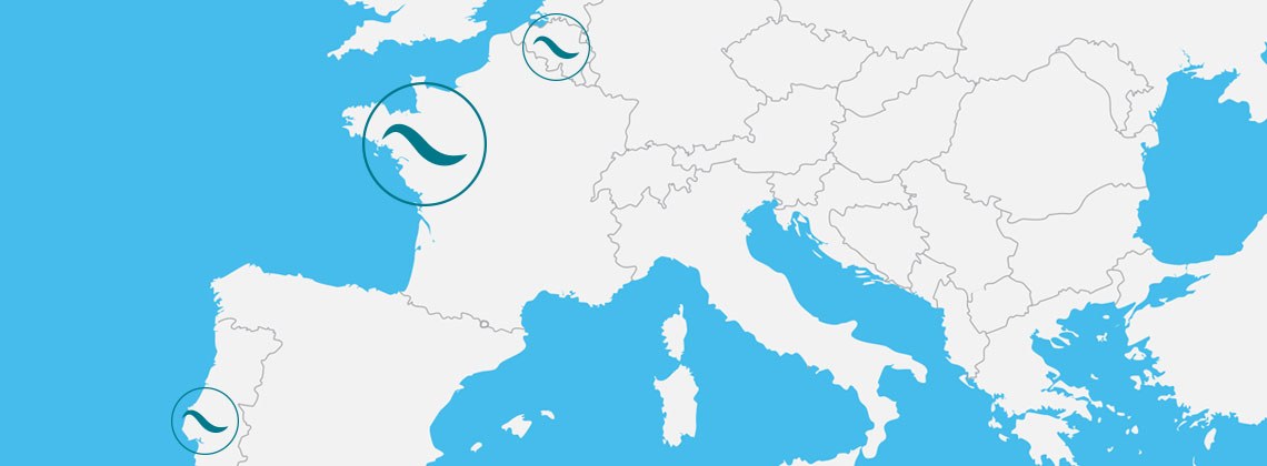 Aqualeha tude Sensorielle Analyse Inspection Audit Formation Conseil