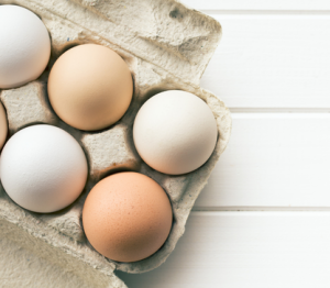Oeufs fipronil