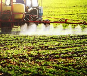 Pesticides