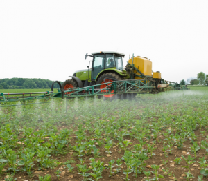chlorpyrifos