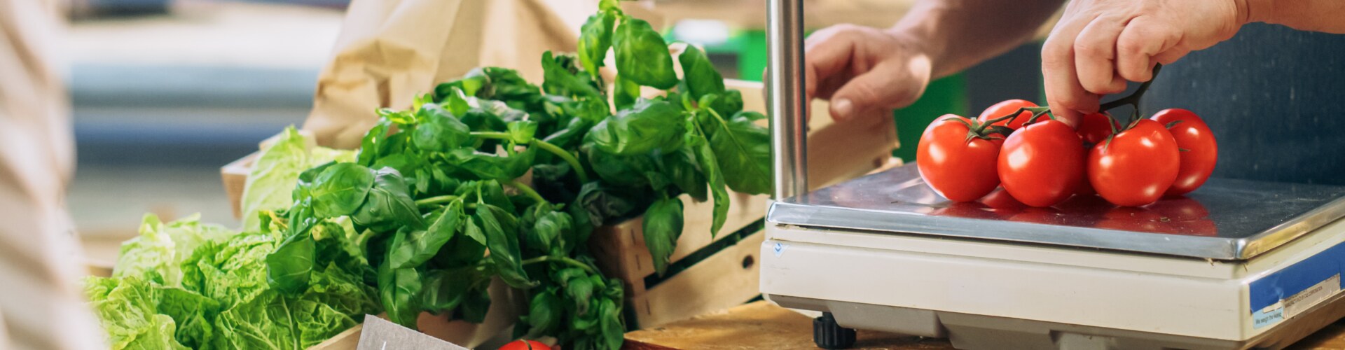 BANDEAU SITE INTERNET(6)